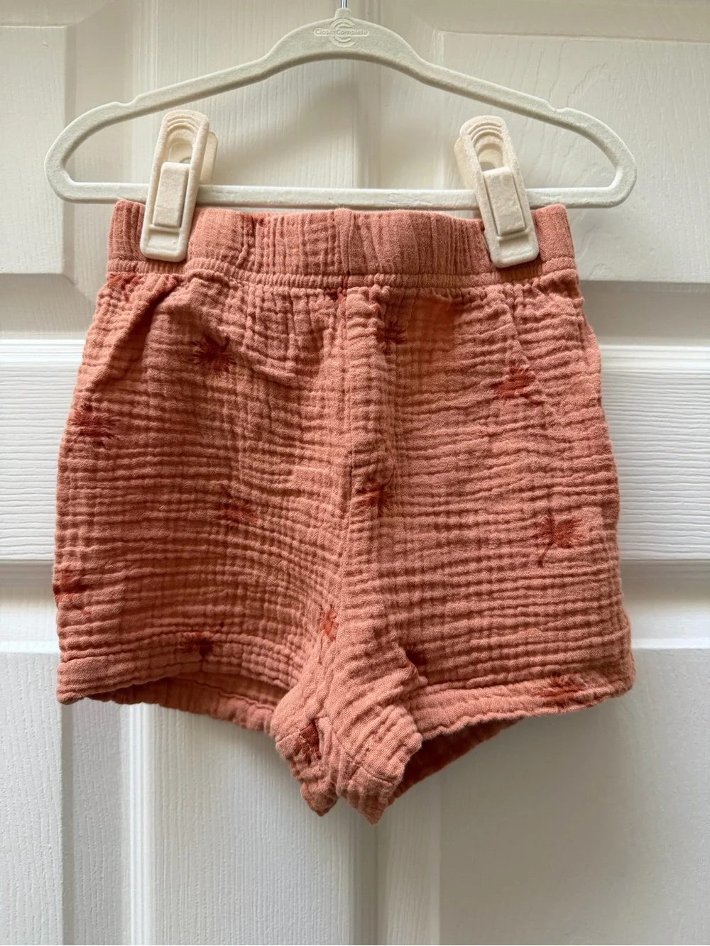 Bluey Polo + Shorts Palm Tree Set